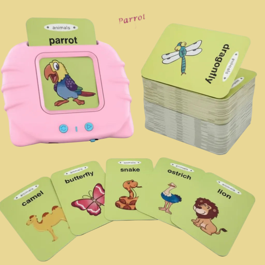 Talking Flash Cards