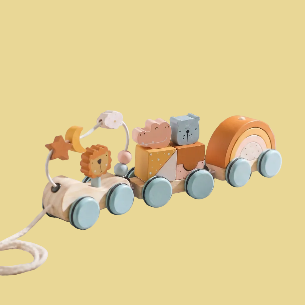 Montessori Train